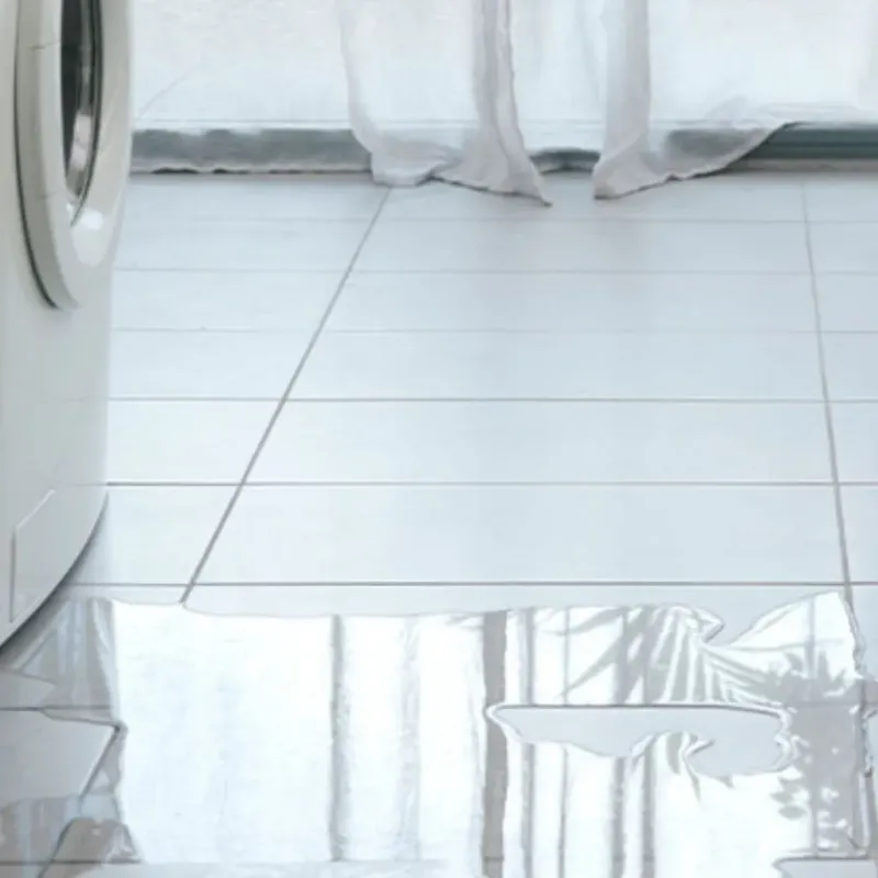 Appliance Leak Cleanup in Westmont, CA