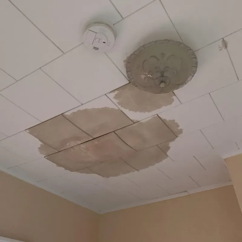 Ceiling Water Damage Repair in Westmont, CA